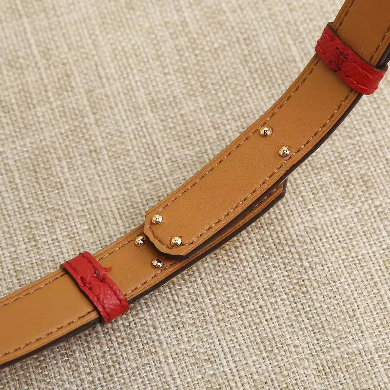 Ancho del cinturón de diseño de moda 1,8 cm Hebilla de bloqueo de cuero de lujo con suéter de vestido de cintura para la cintura