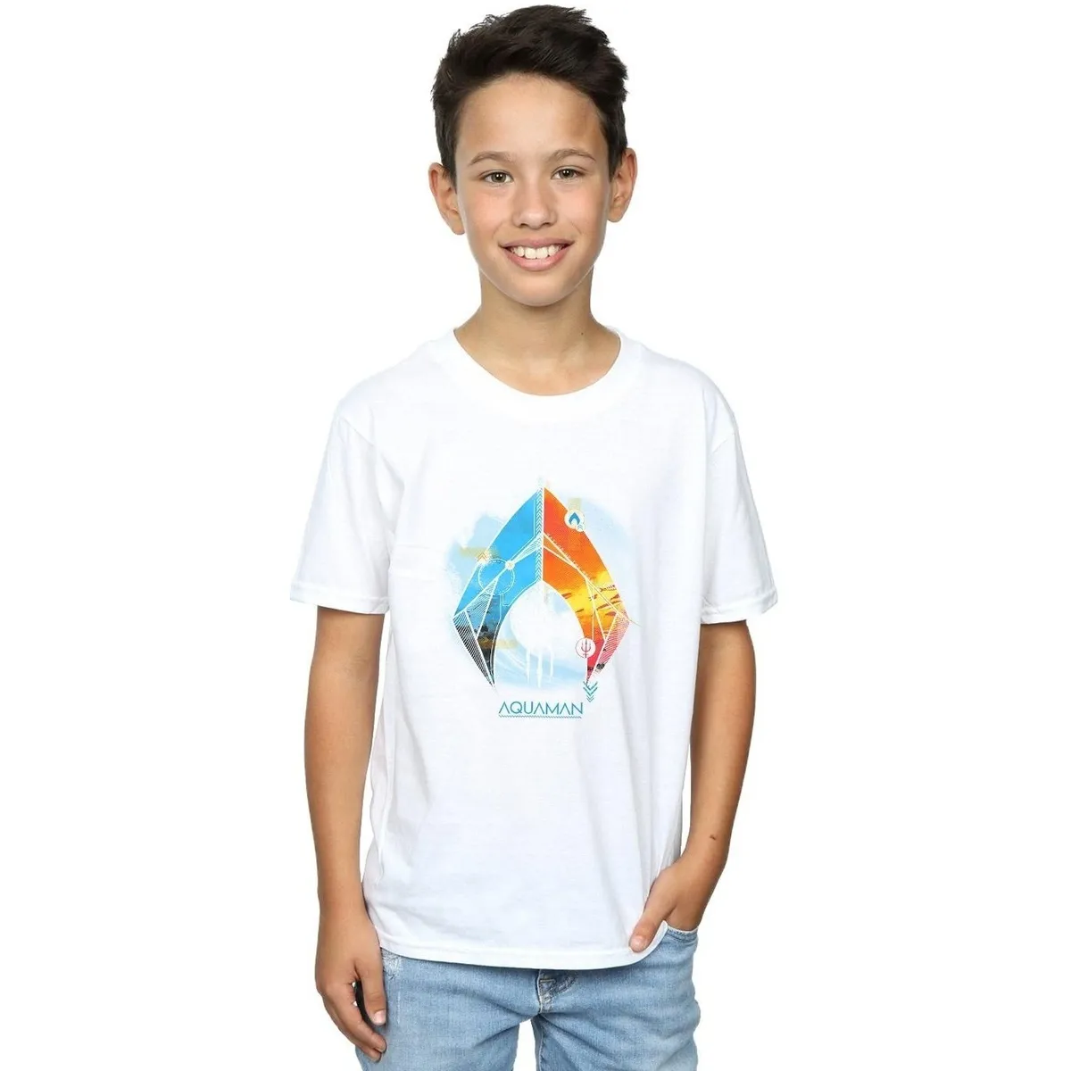 Aquaman Tropical Logo