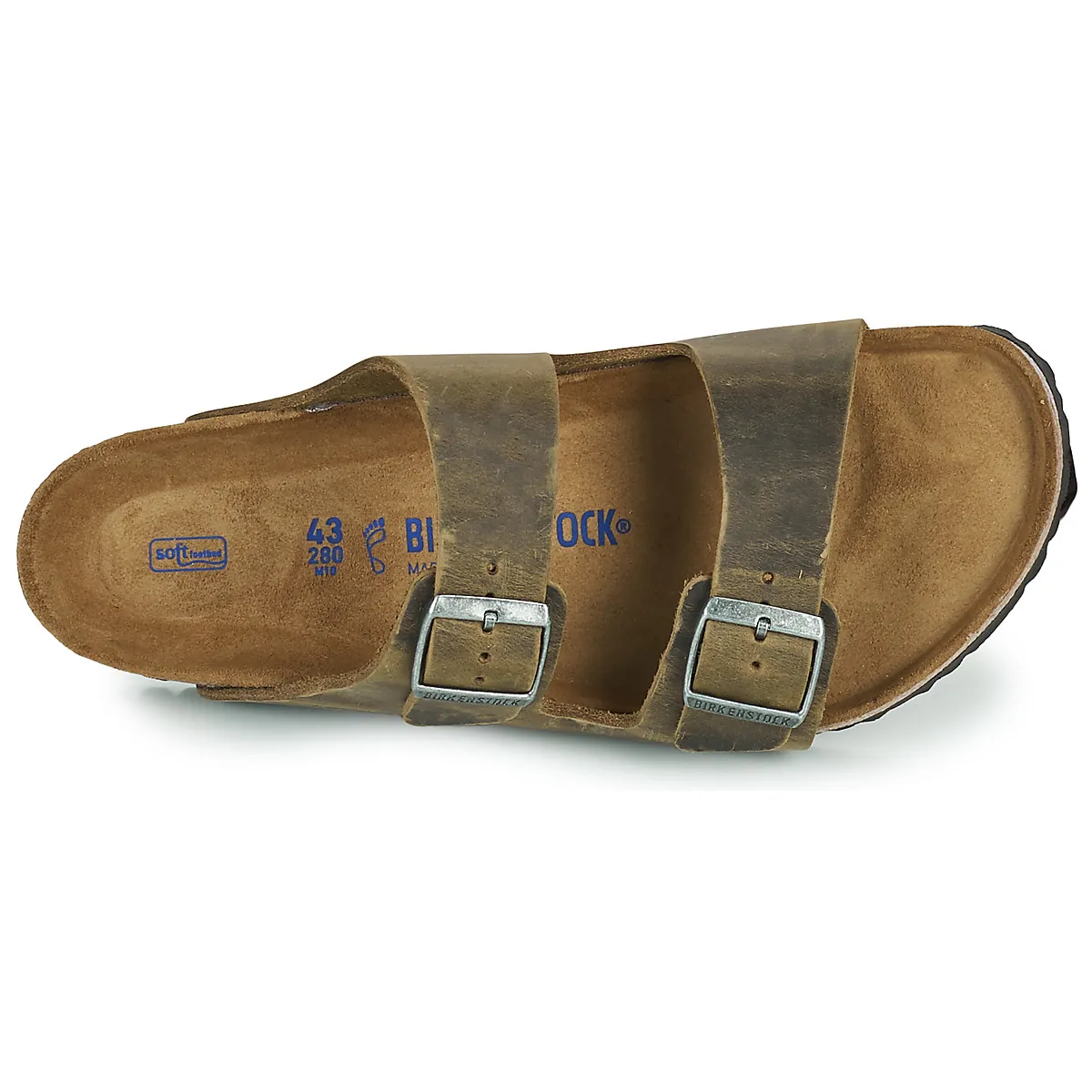 ARIZONA SFB