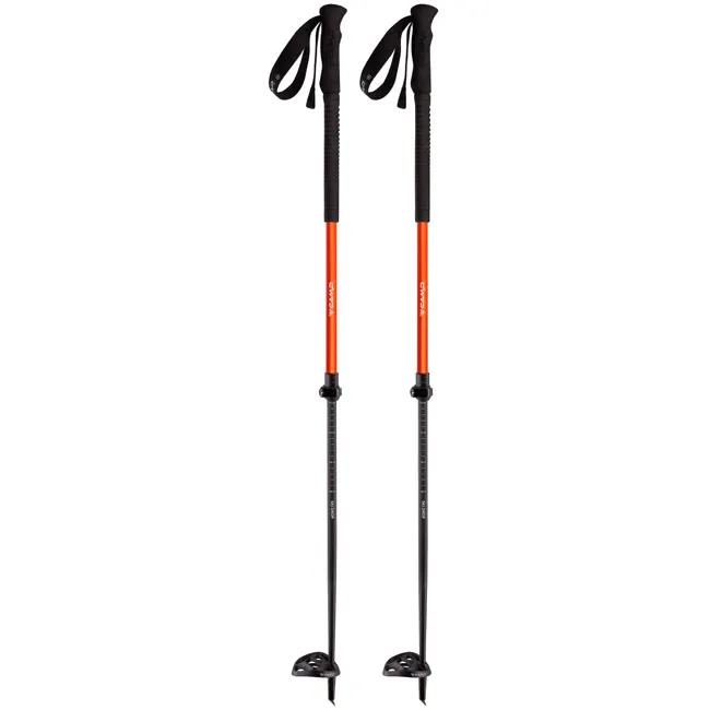 Bastones camp Ski Drop
