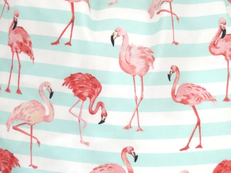 Camisa flamencos mint