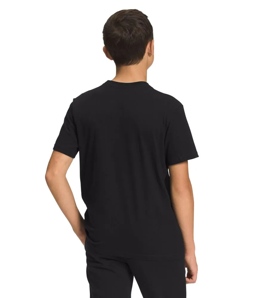 Camiseta Graphic Tee Manga Corta Negra Niño The North Face