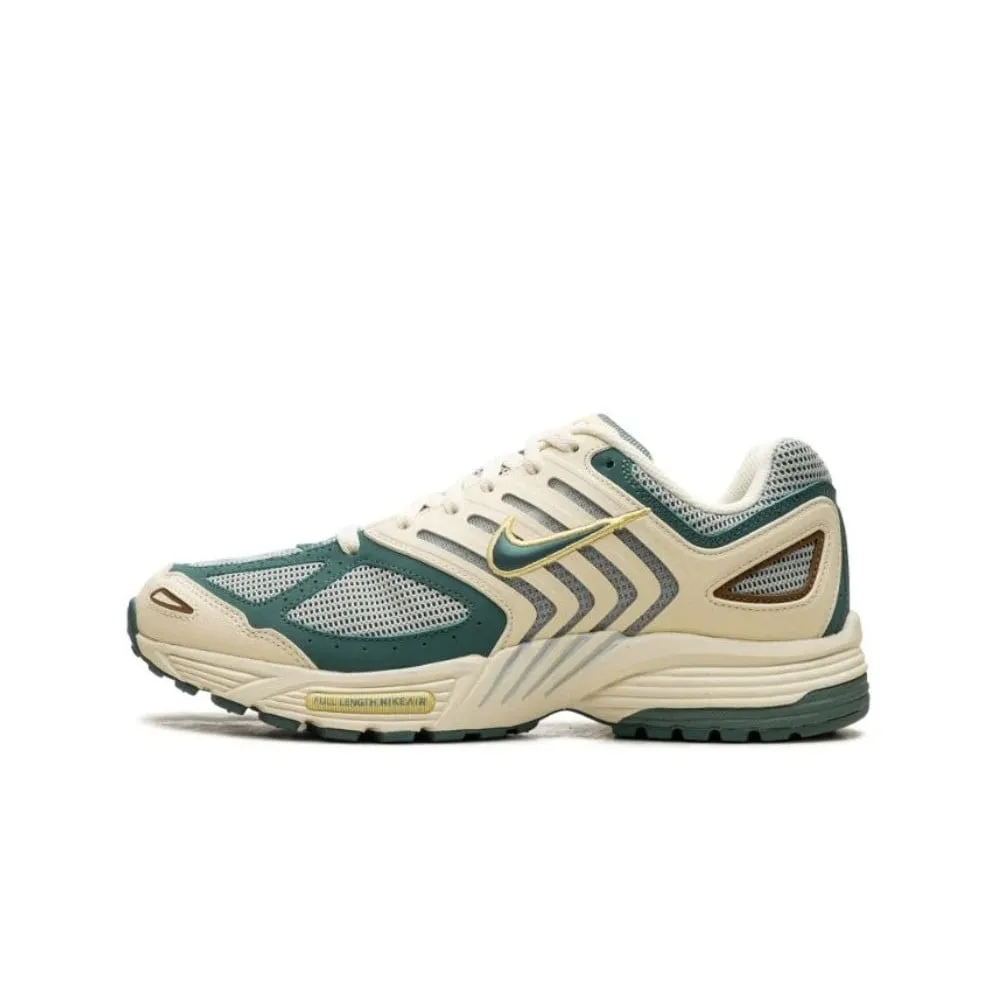 Nike Air Peg 2K5 Bicoastal
