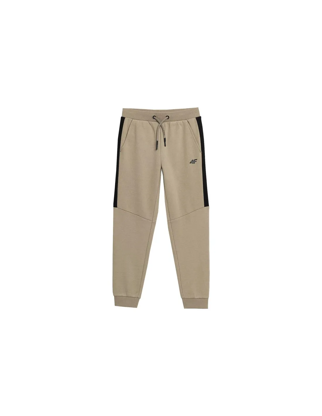 Pantalones 4F JSPMD002 Niño Marrón