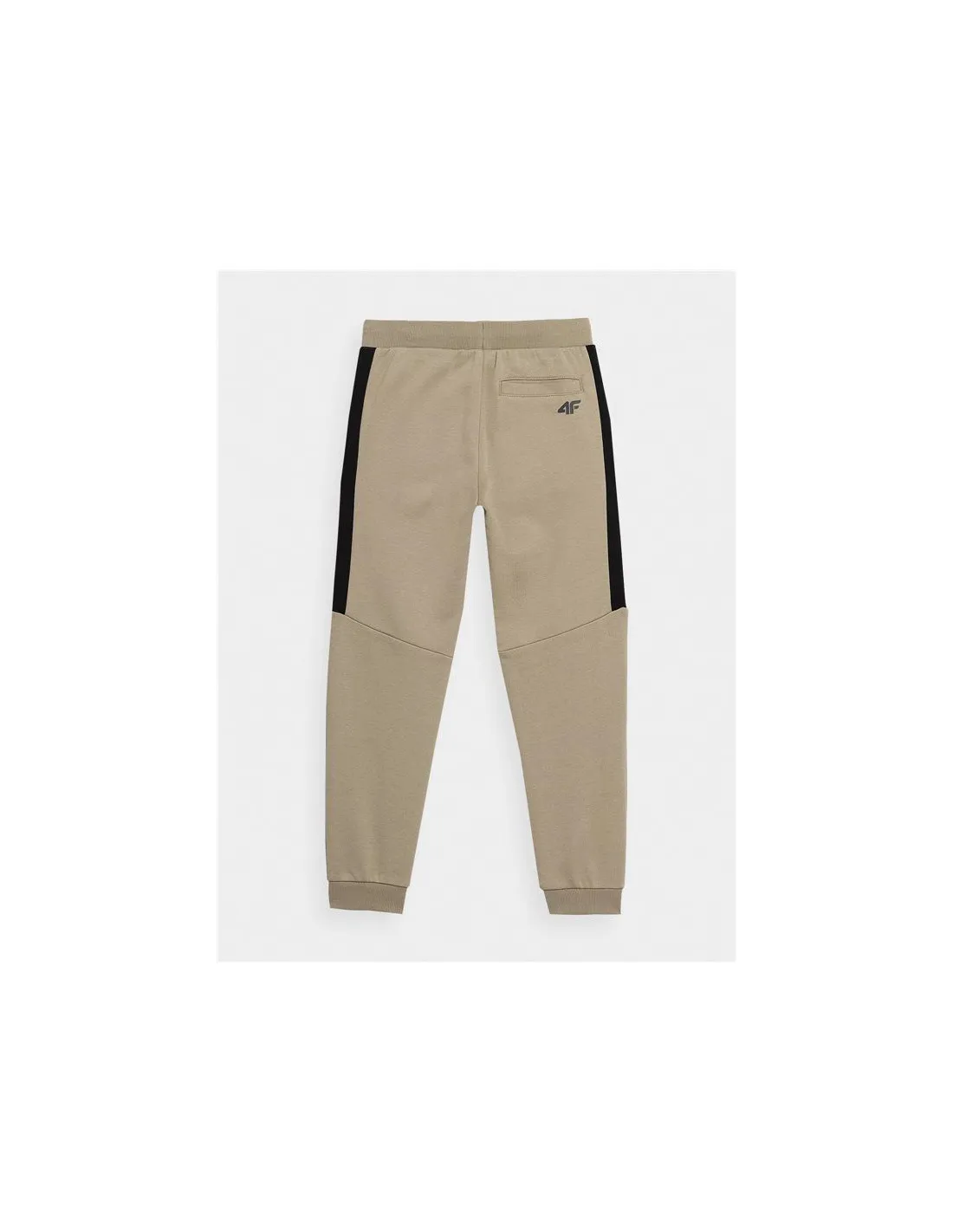 Pantalones 4F JSPMD002 Niño Marrón