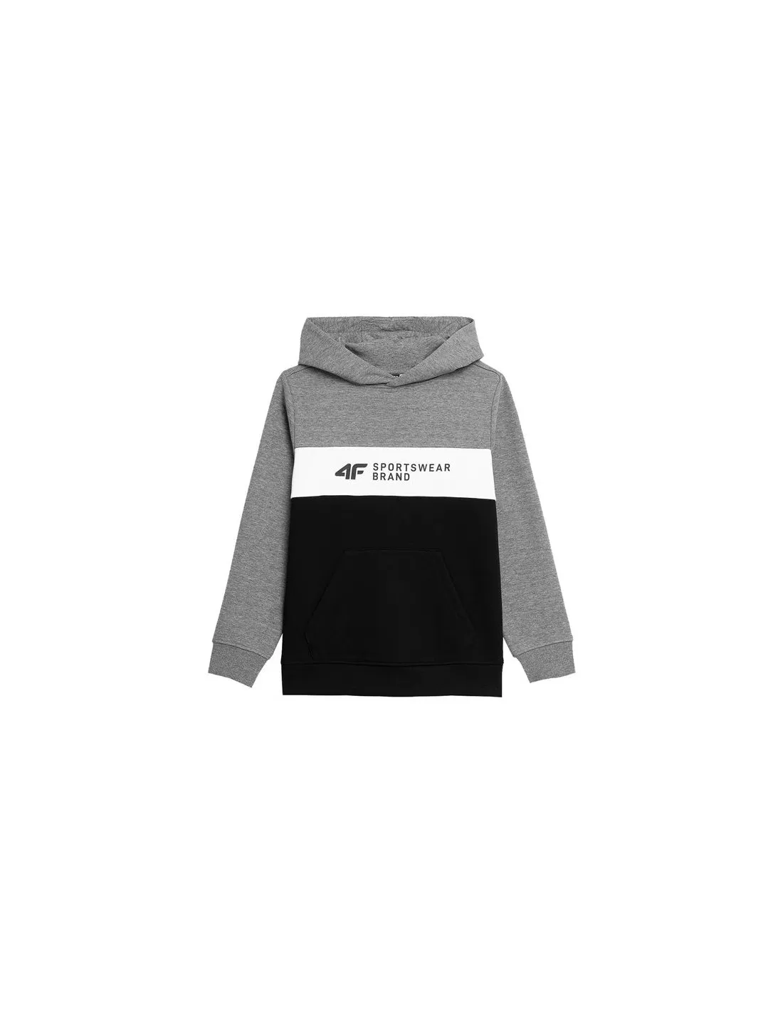 Sudadera 4F JBLM003 Niño gris