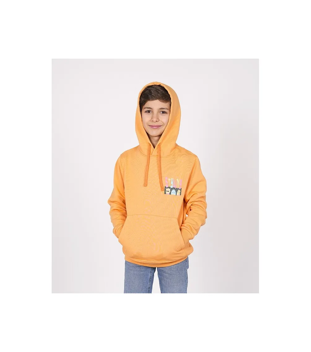 SUDADERA NIñO STYLING CREATURES  MANGO