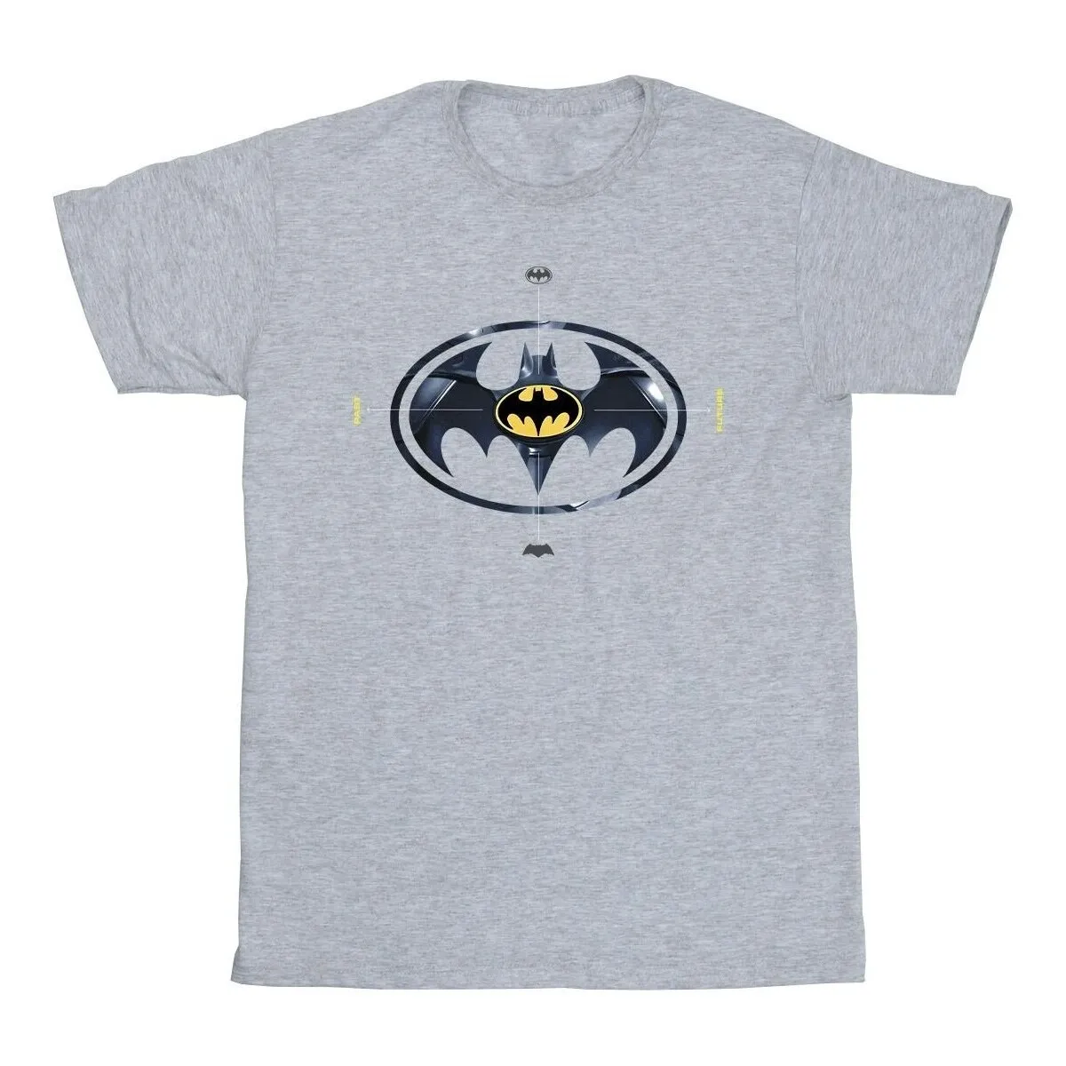 The Flash Batman Metal Logo