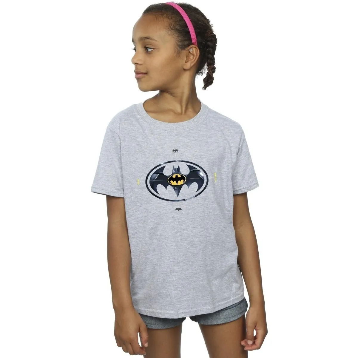 The Flash Batman Metal Logo