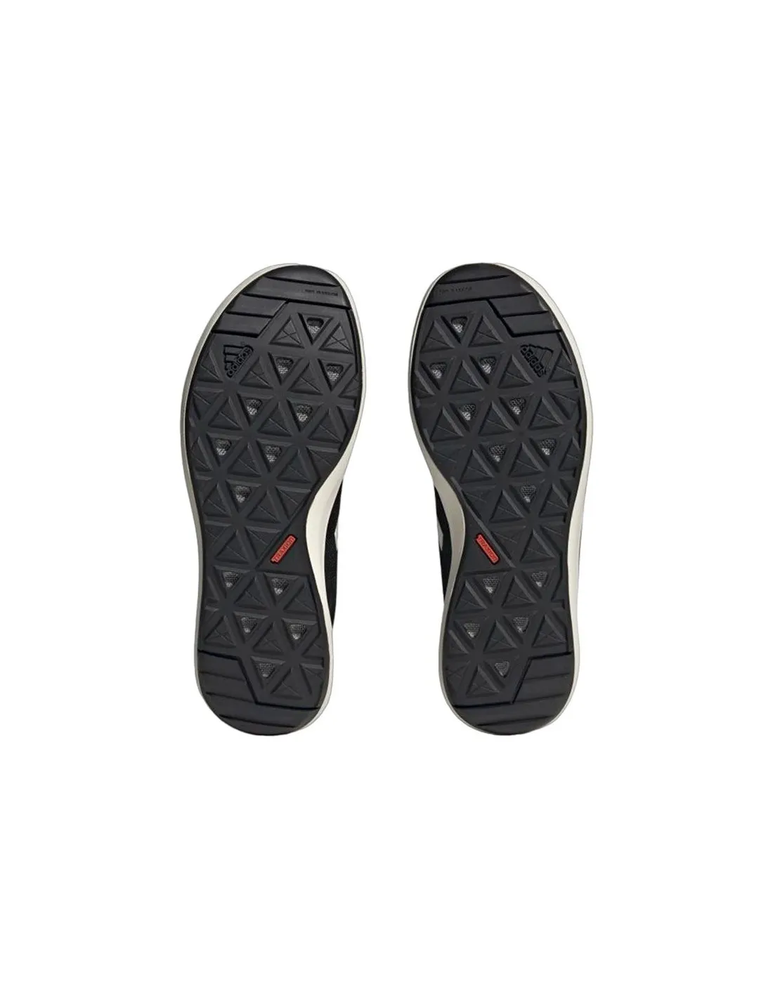 Zapatillas de Montaña adidas Terrex BoaT H.RDY Hombre