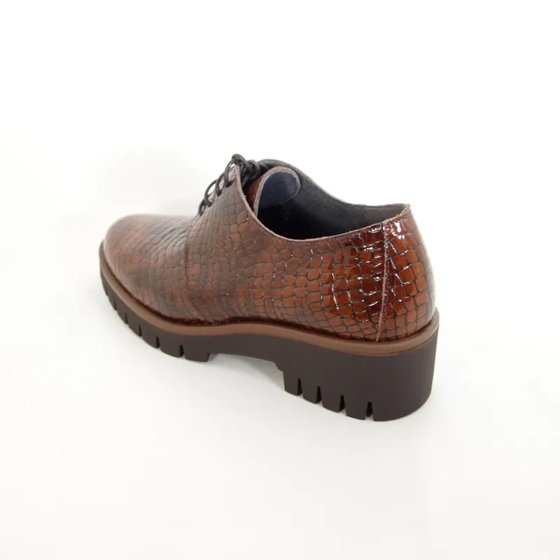 Zapatos Idee Italiane 12152 Marrón